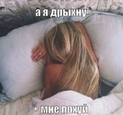 А я дрыхну, мне похуй