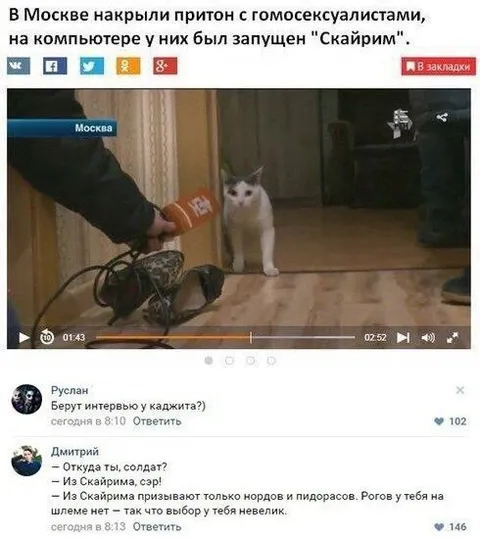 Каджит из Скайрима на допросе