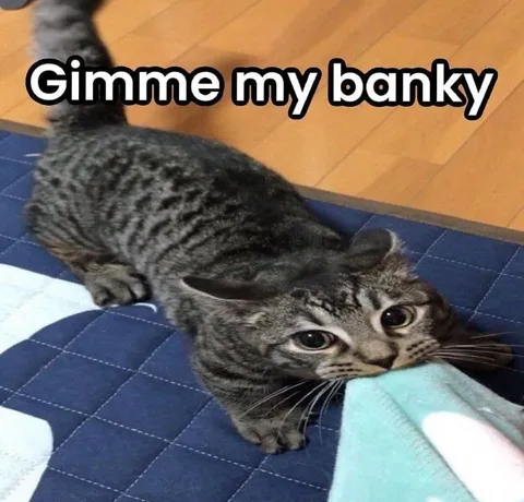 Gimme My Banky Cat