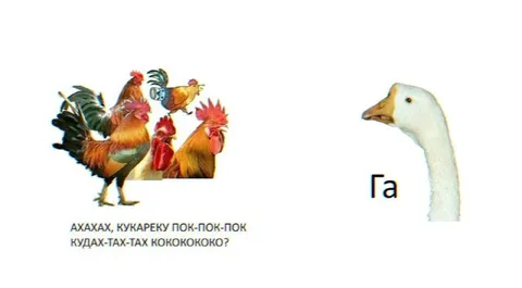 Гусь отвечает на кукареку