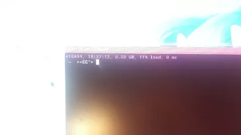 GPU Terminal Has No Load