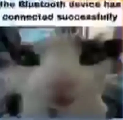 Bluetooth Device Connected Successfully