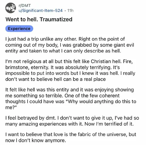 DMT Trip to Hell