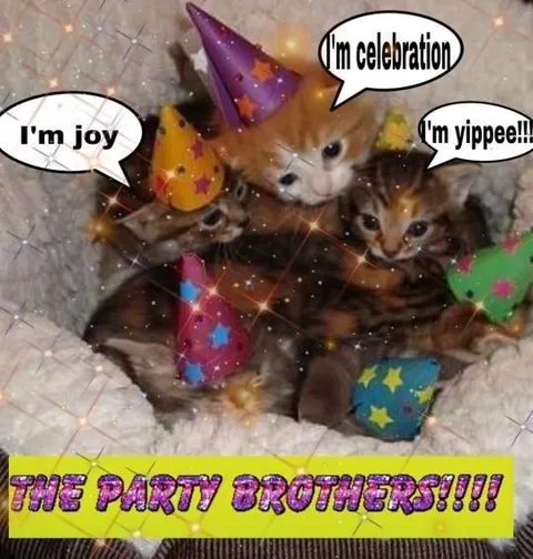 The Party Brothers Celebration