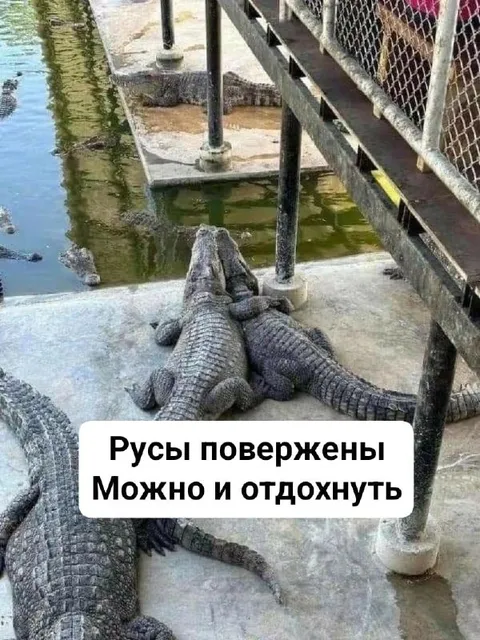 Русы повержены, можно отдохнуть