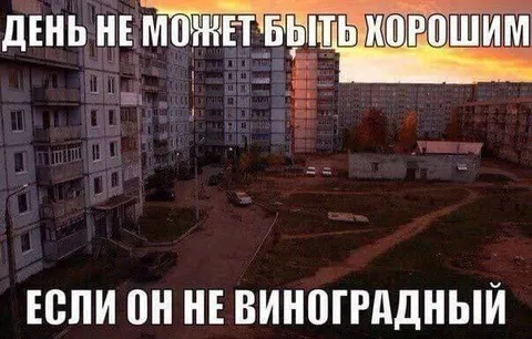 Виноградный день в панельном дворе