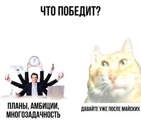 Что победит: амбиции или майские