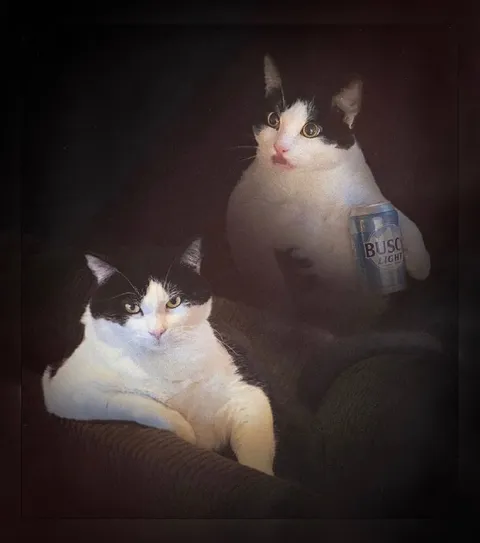 Two Cats Sharing a Busch Light