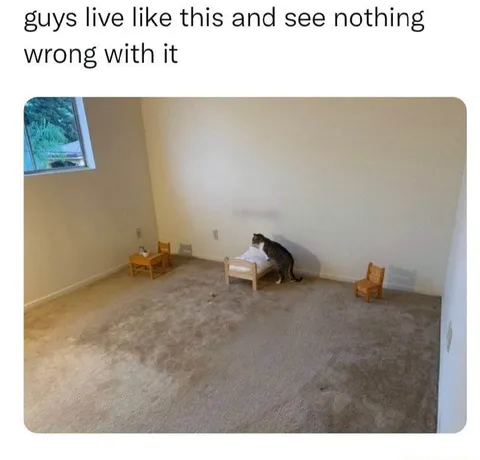 Cat in an Empty Room