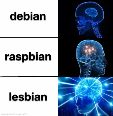 Debian Raspbian Lesbian Brain