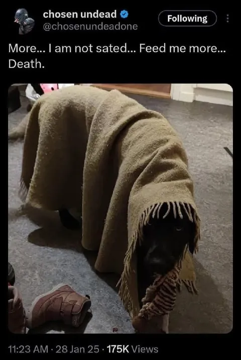 Hungry Death Under a Blanket