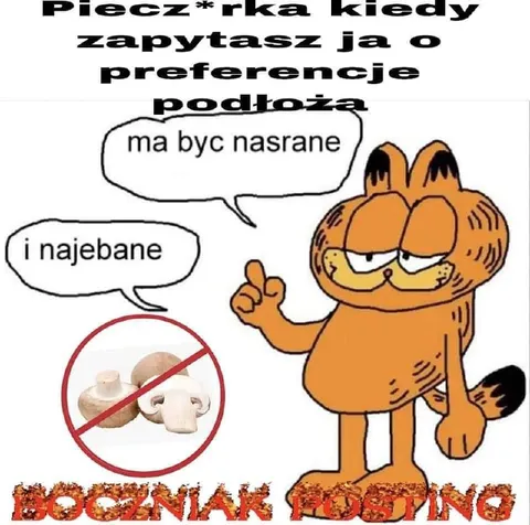 Pieczarka o preferencje podłoża