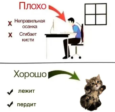 Плохо сидит, хорошо лежит
