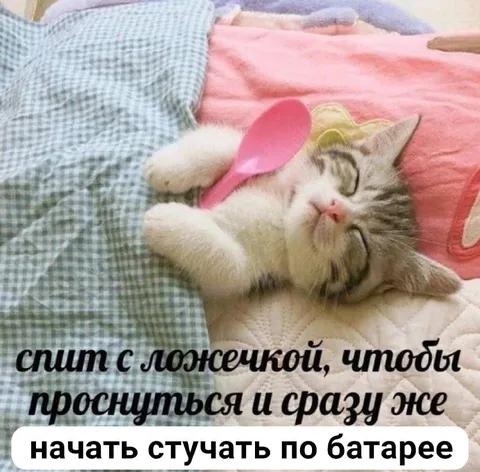 Кот стучит по батарее