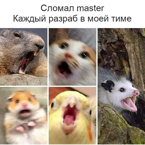 Сломал master в моей тиме