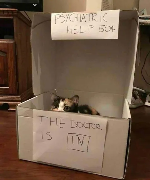 Psychiatric Help Cat