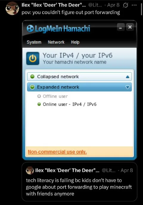 Port Forwarding Minecraft Struggle