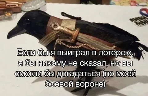 Боевая ворона после выигрыша