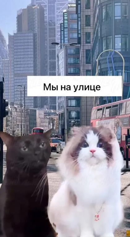 Мы на улице и дома