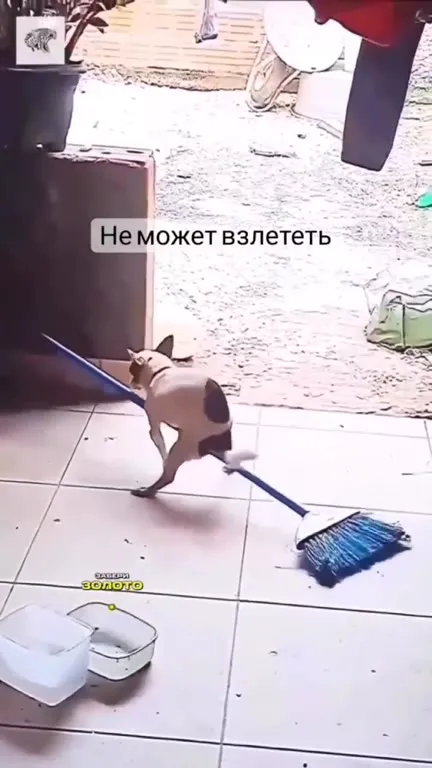 Не может взлететь