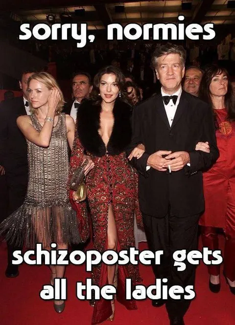 Schizoposter Gets All the Ladies