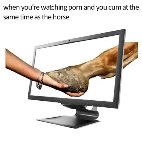 Horse Finishes Through the Screen