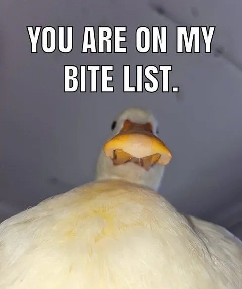 Duck Bite List Threat