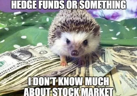Hedge Funds or Something