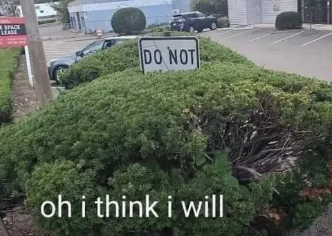 Oh I Think I Will