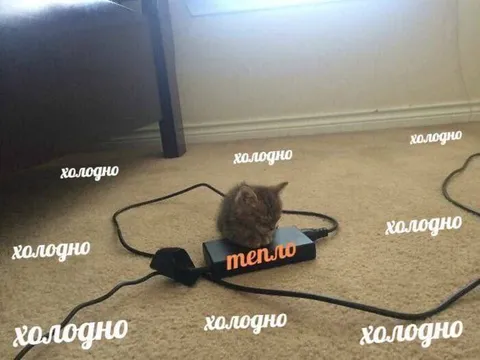 Кот нашёл самое тёплое место