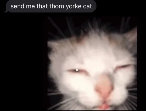 Send Me That Yorke Cat
