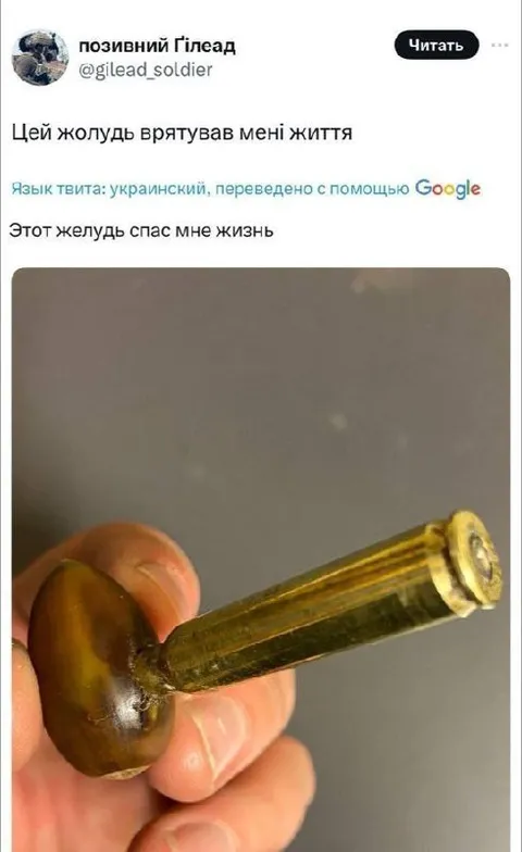 Цей жолудь врятував мені життя