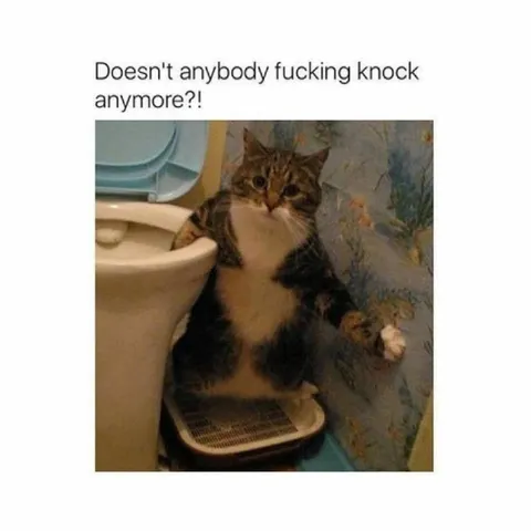 Cat Waiting for Someone to Knock