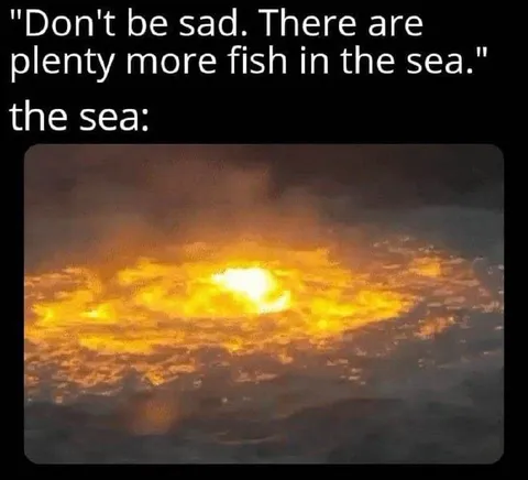 There Are Plenty More Fish in the Sea