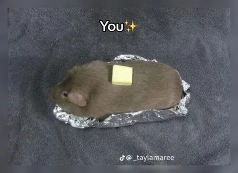 You Buttered Up