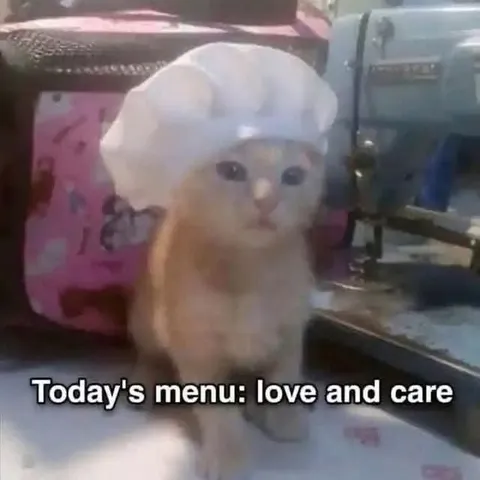 Cat Chef's Menu of Love