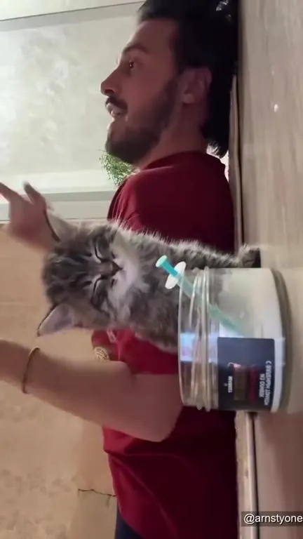 Котёнок в банке слушает разговор