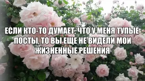 Тупые посты и жизненные решения