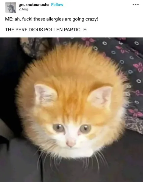 Perfidious Pollen Particle