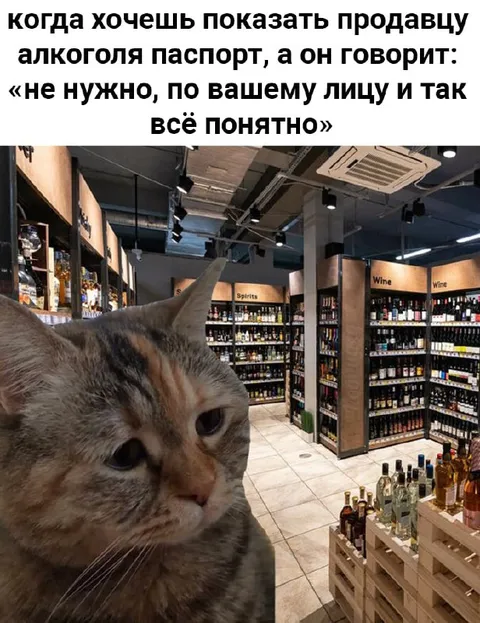 Продавец понял всё по лицу