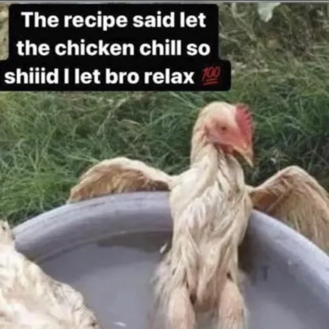 Let Bro Relax Chicken