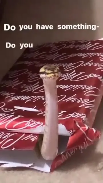 Do You Have Something to Say?
