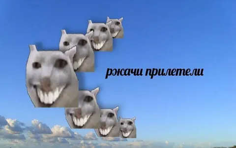 Ржачи прилетели
