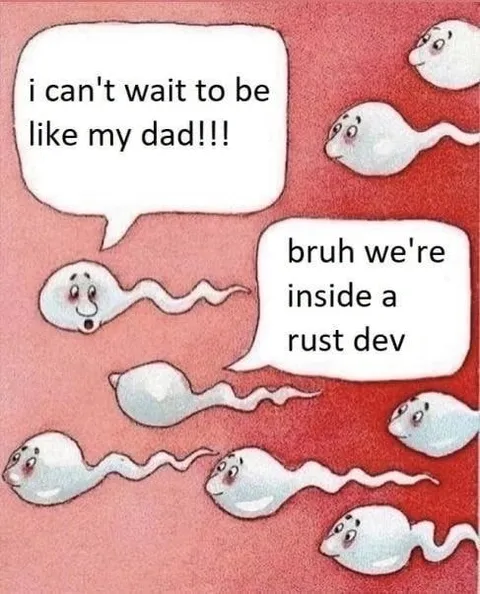 Inside a Rust Dev