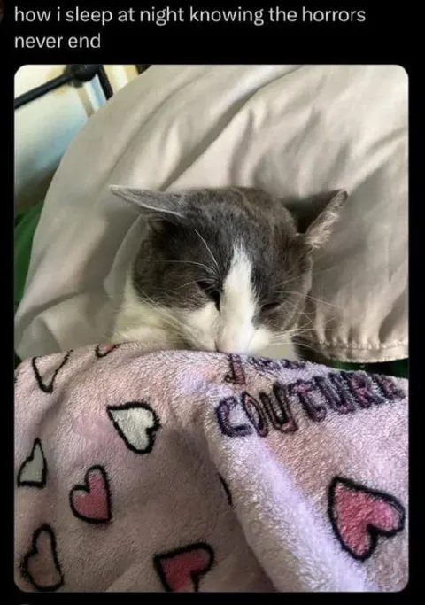 Sleeping Through Endless Horrors
