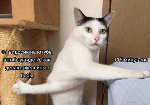Ещё одно видео перед сном