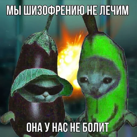 Мы шизофрению не лечим