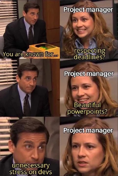 Project Manager Priorities