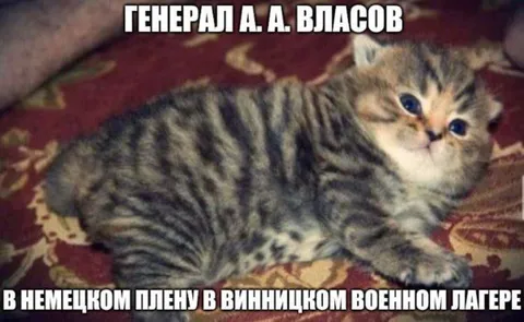 Генерад Власов в плену