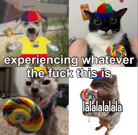 Experiencing Whatever This Is